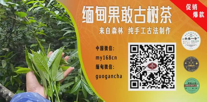 宏远速递!杜润旺或被交易,朱芳雨签下后卫新星,徐昕将赴美特训