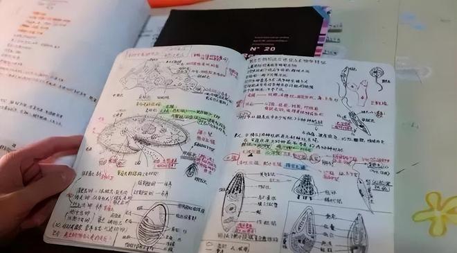 彻底撕破脸!欧盟高官当众质问特朗普:你就那么怕普京吗?